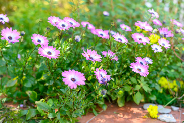 Residencia Alella Mar